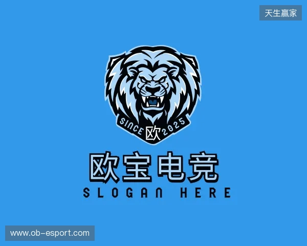 认识OB电竞在线